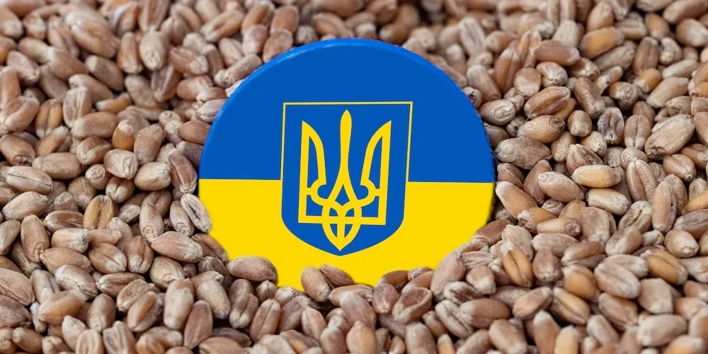 Квартальний звіт USDA про зерно і корми 04.02.2025