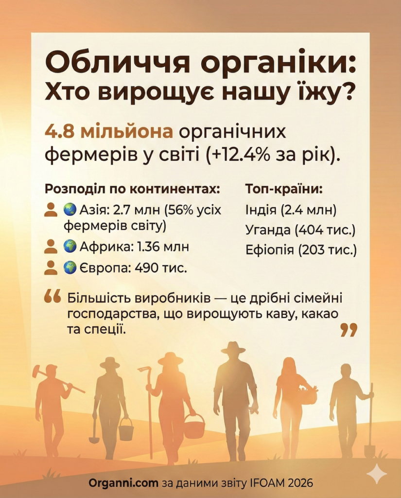👨‍🌾 Інфографіка 3: Хто вирощує нашу їжу? (Фермери)
