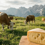 Майбутнє молока в ЄС: Менше корів, більше екології? Глибокий аналіз звіту USDA