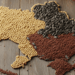 Огляд звіту USDA: ринок олійних в Україні у серпні 2025