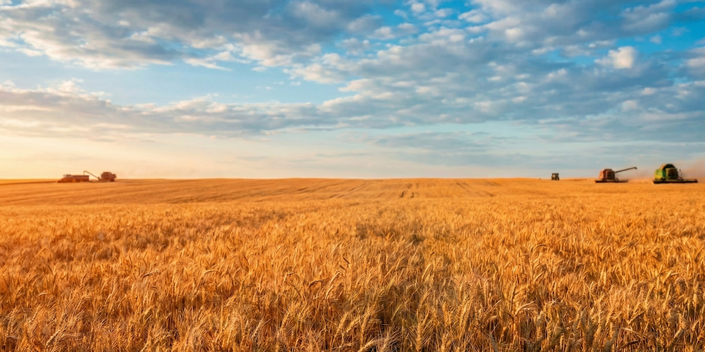 Органічна Україна 2026: Експорт, статистика та неймовірна стійкість в умовах війни