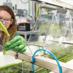 Відбір зразків і тестування органічної продукції