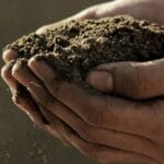 РОЗДІЛ I: Оздоровлення ґрунтів у південних регіонах: проблеми та можливості