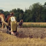 обробіток грунту в органічному сільському господарстві